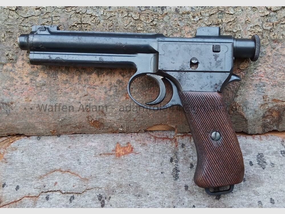 Steyr Roth-Steyr M.1907