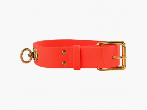 maison collier de sueur Biothane (orange) |