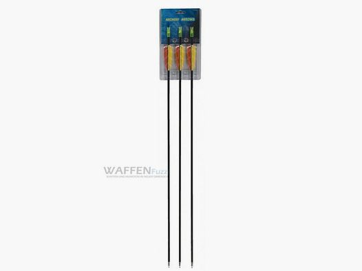 Fiberglaspfeile 30" 3 Stk.