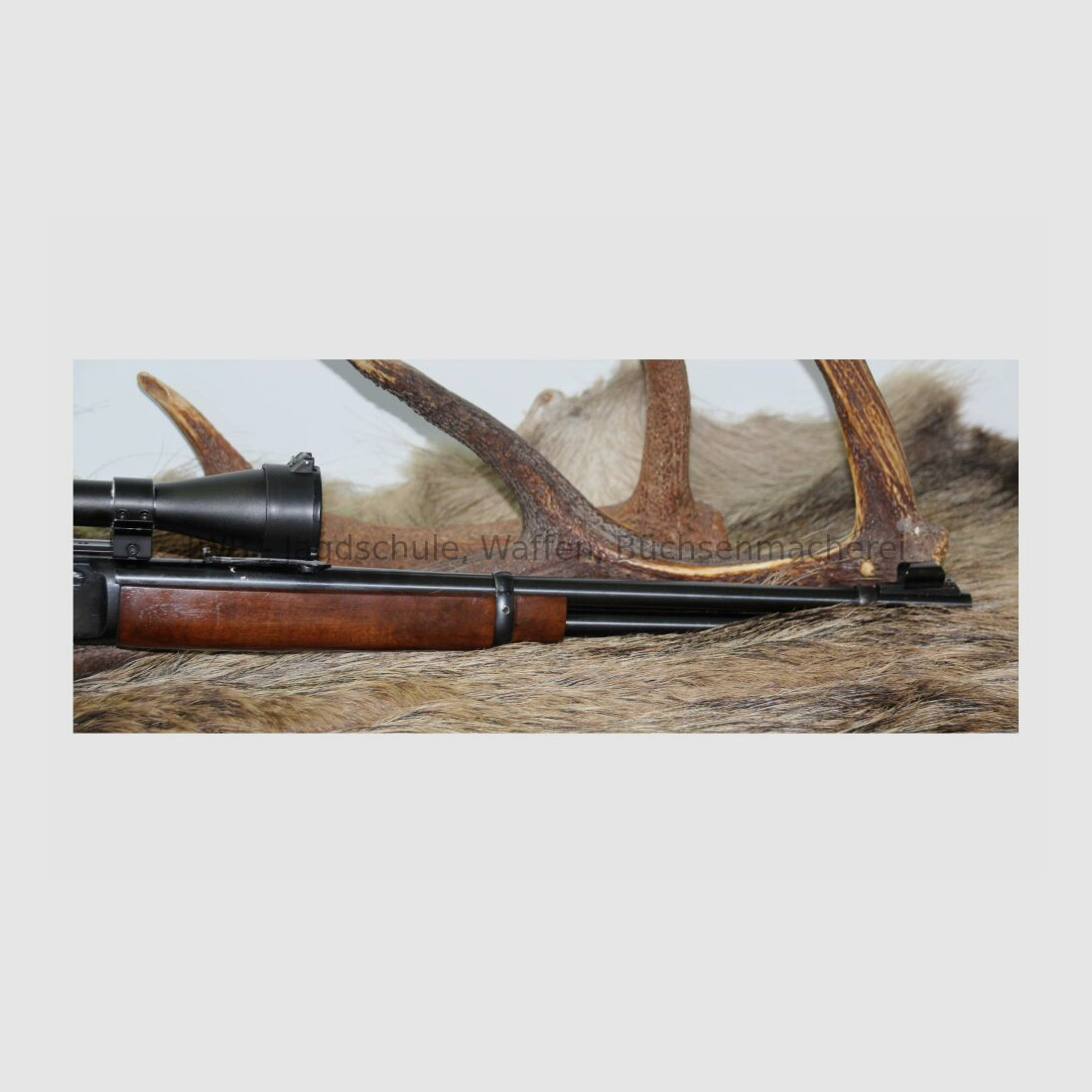 Marlin 336 mit Bushnell .30-30Win