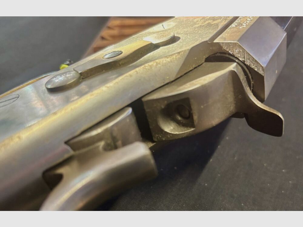 ohne Rolling Block .45-70Gov