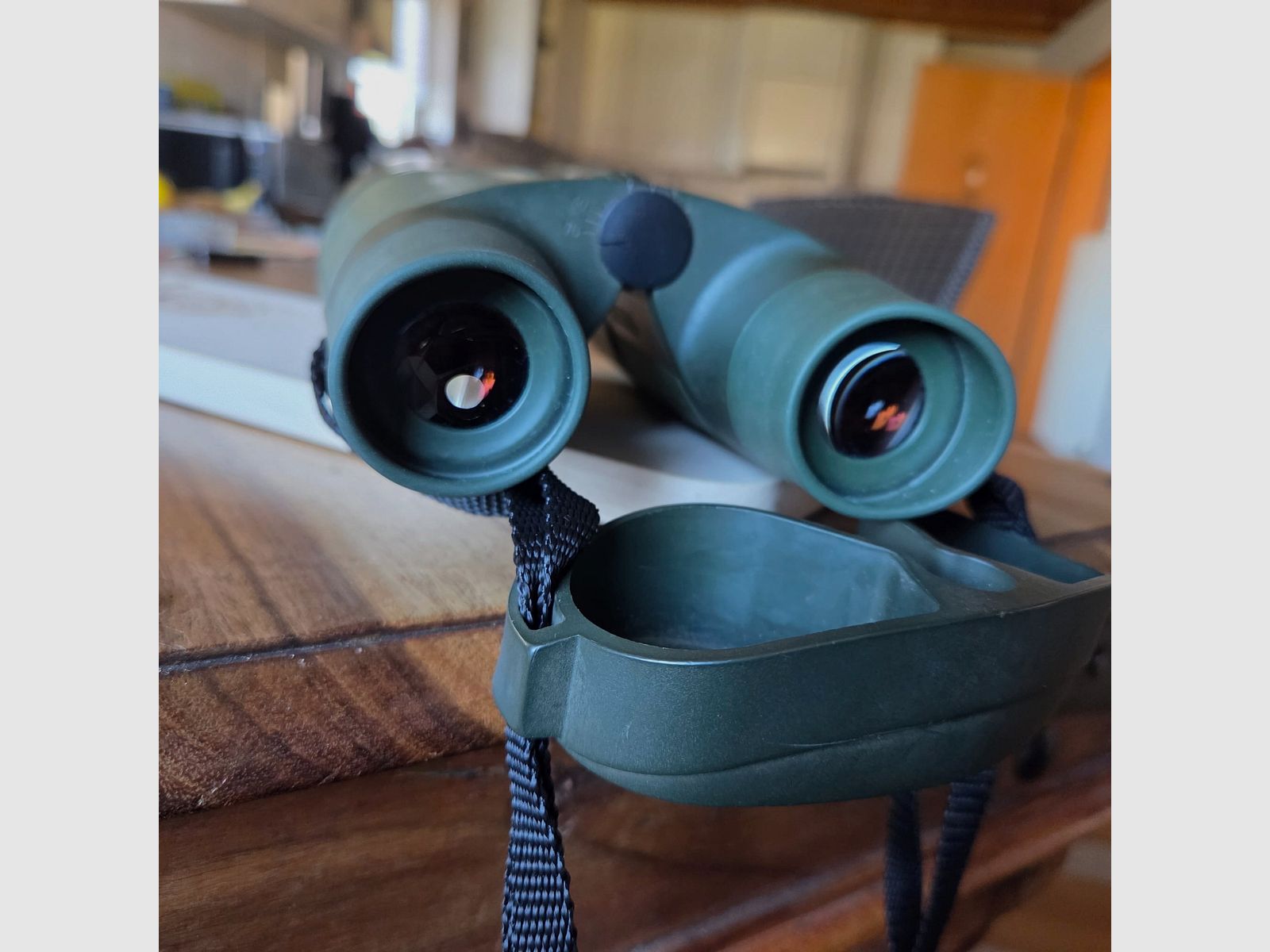 Zeiss Fernglas 10x56 BT P