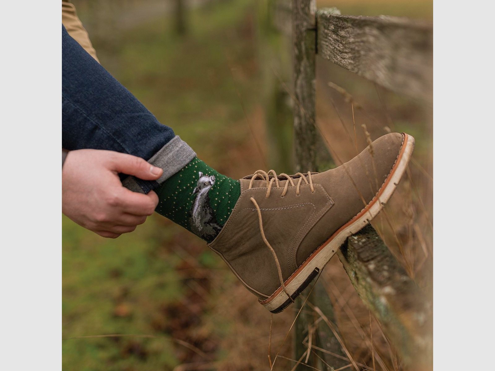 Wrendale Herren - Socken "A Country Gent" mit Dachs
