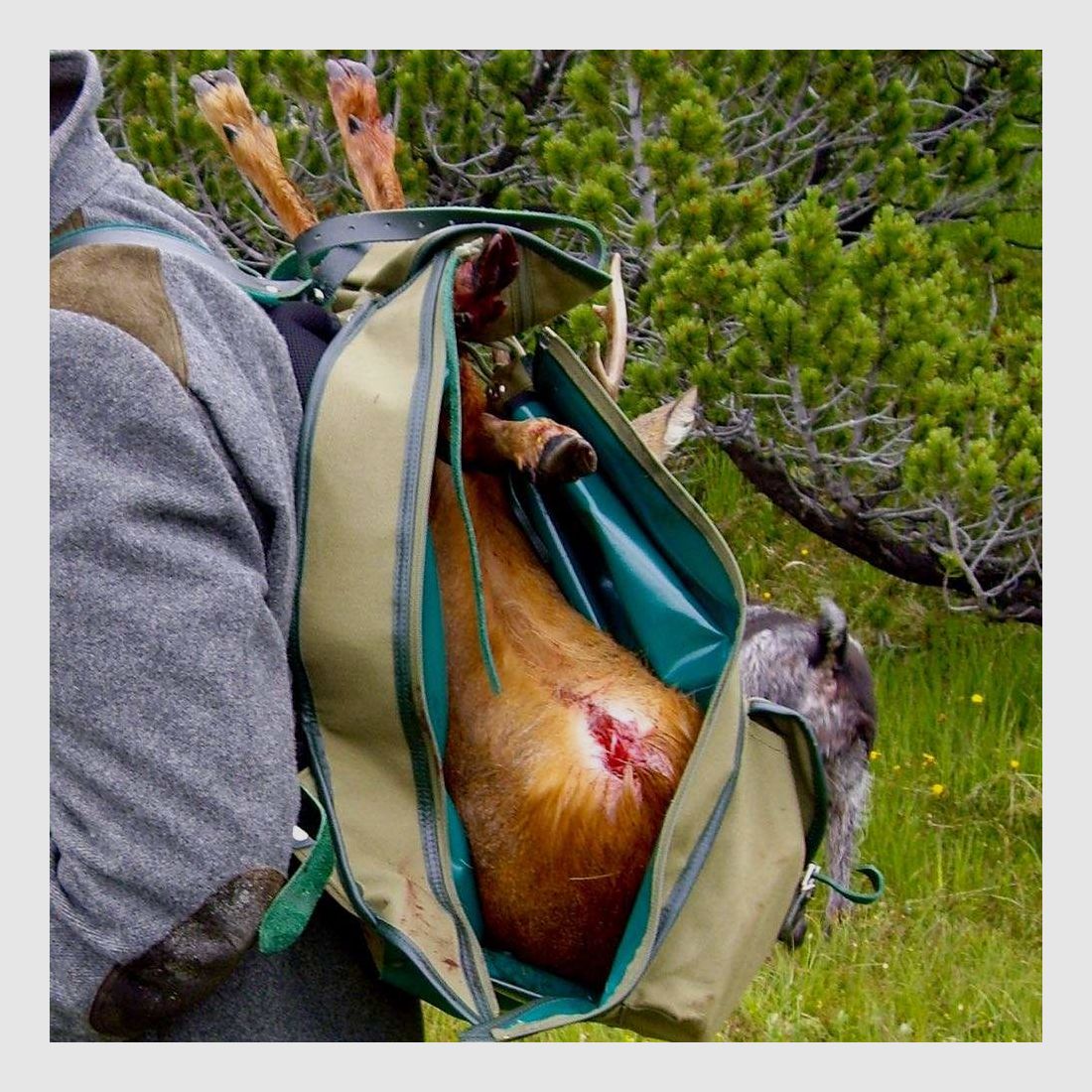 Spezial Jagdrucksack Leinen | 40L - Modell "Atlas", Grundausstattung + 1 Spektivtasche, grün, Bild 8 von 59