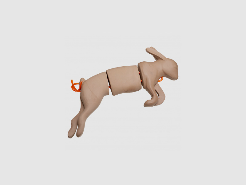 Akah Apportier Kanin |