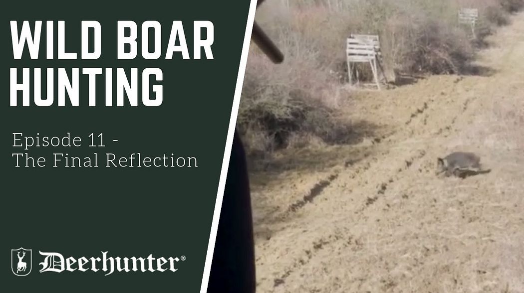 Episode 11 - Wild Boar Hunting: The Final Reflection