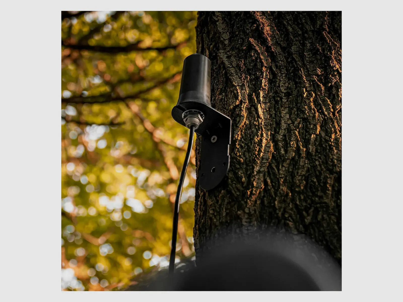 SPYPOINT CA-01 external mobile antenna 4.57 m, image 3 of 4