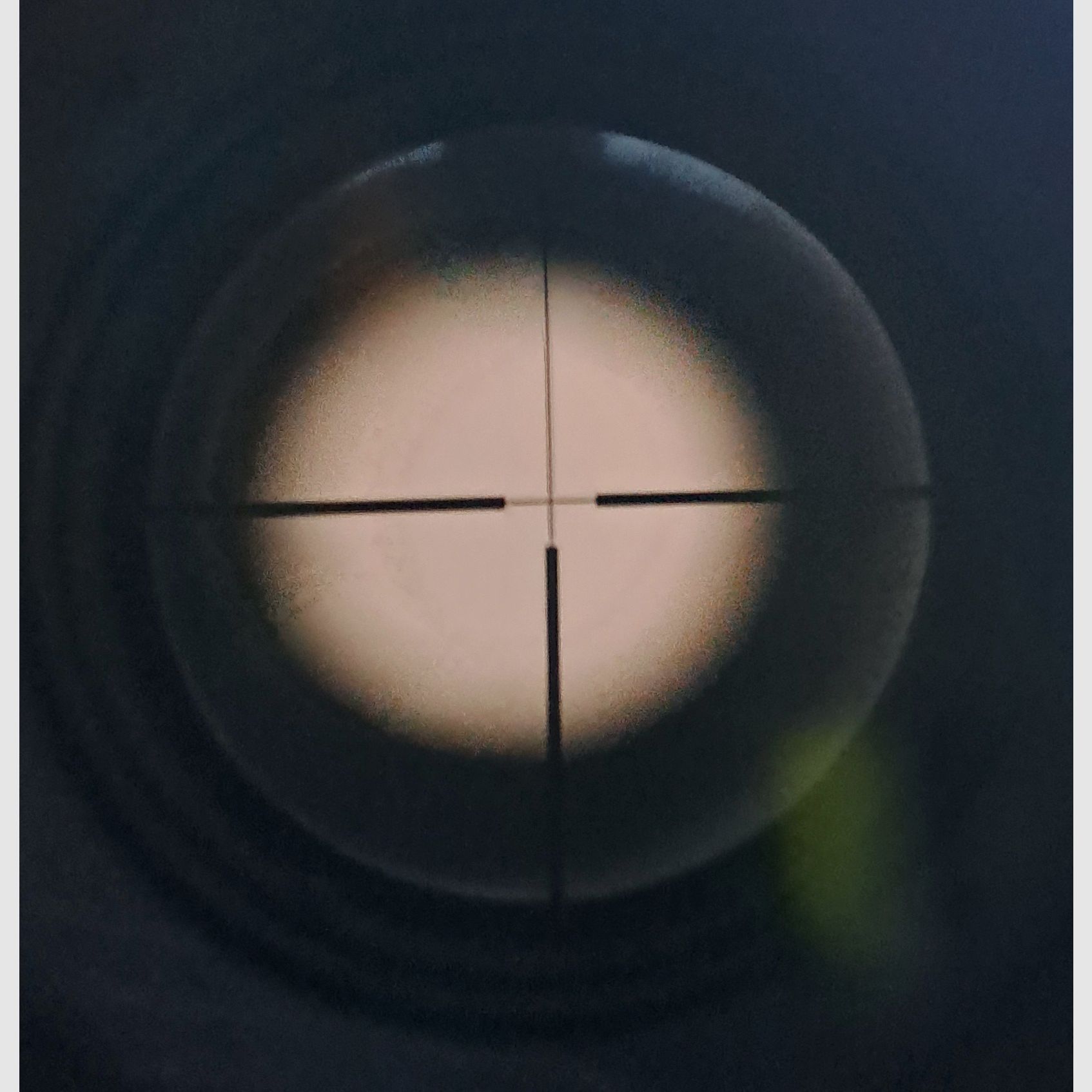 RWS ZF Supreme mit LP