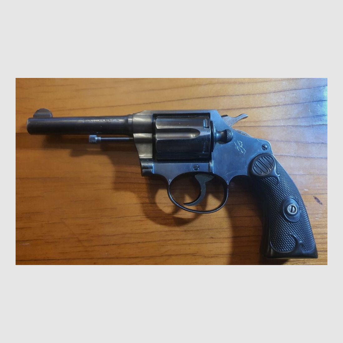 Colt Colt Police Positive