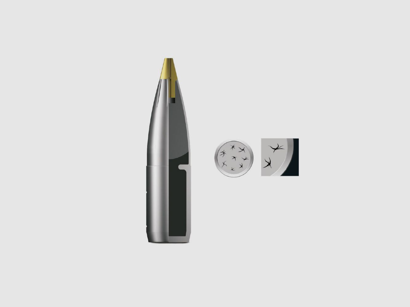 RWS Evo Green Short 139grs 20St .30-06Spring