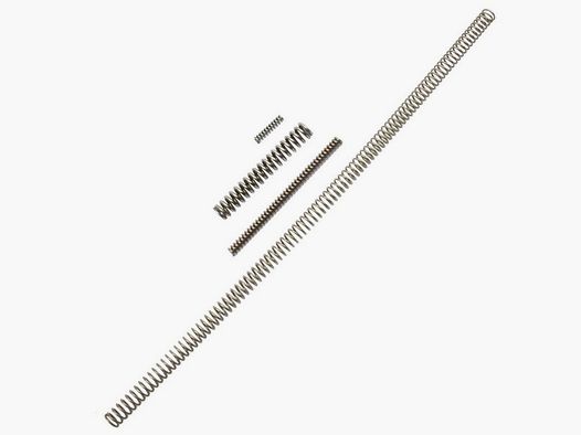 Sprinfield M1A Feather Pak Service