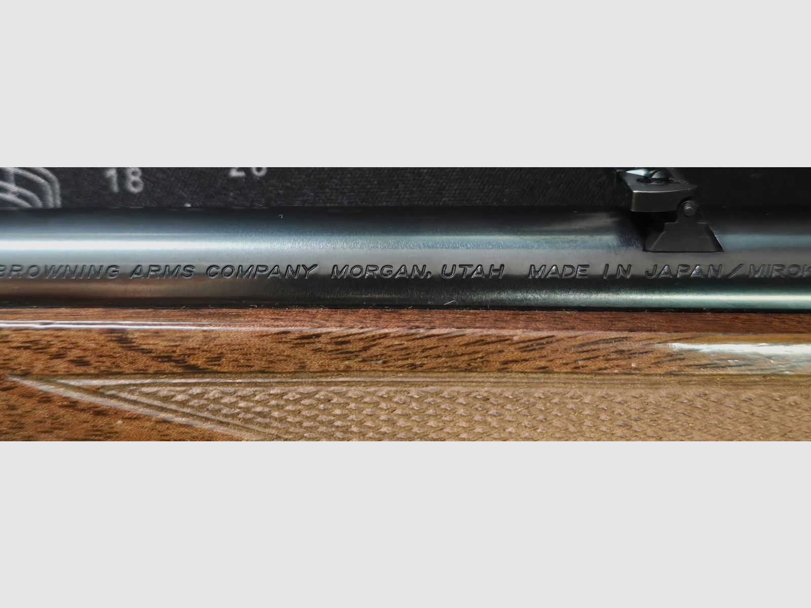 Carabine à levier sous Browning .22