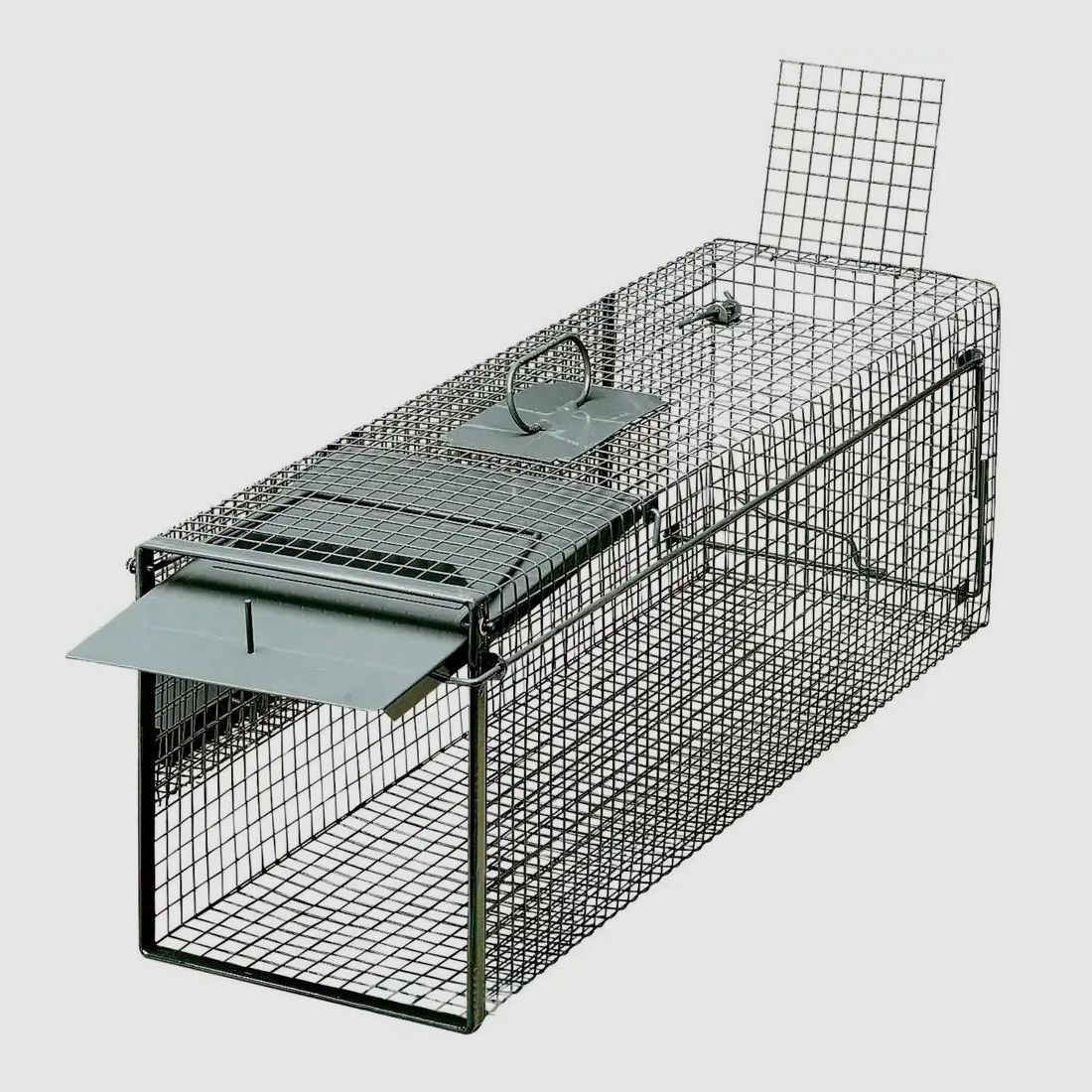 Frankonia trap live catch – single door folding doors