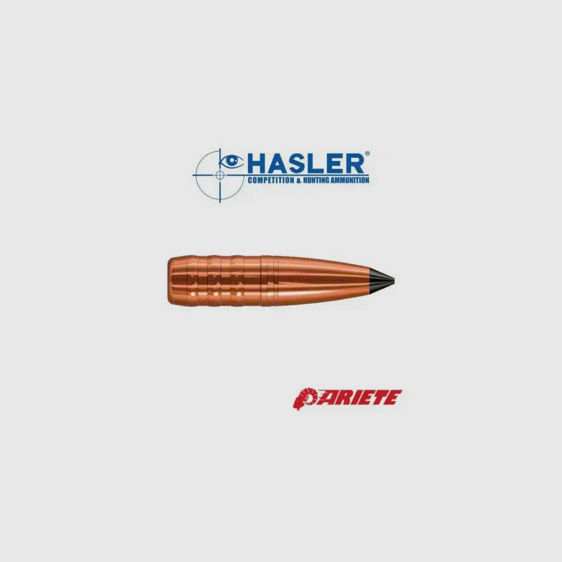 Monolitishe Geschosse Hasler Ariete 6 mm (.243), 77grs