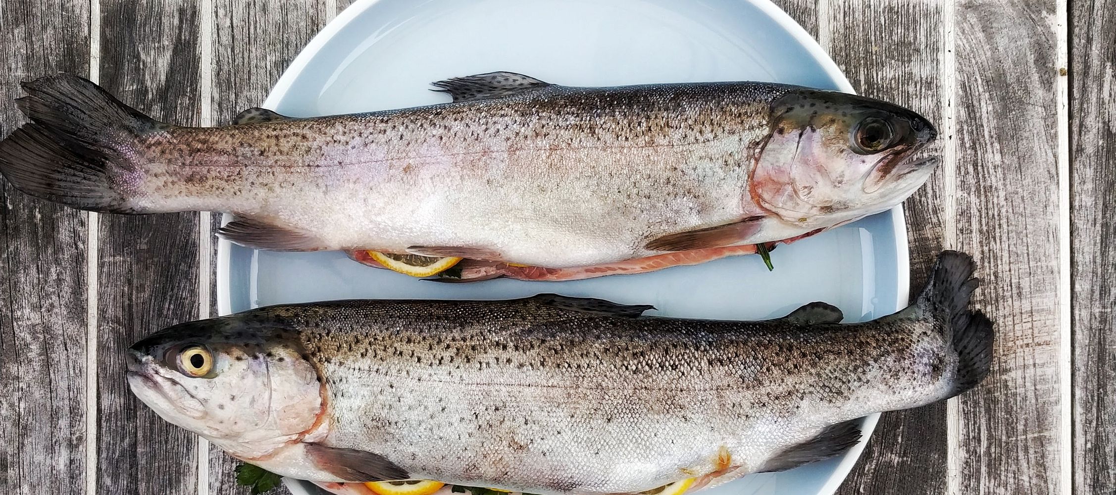 How to Properly Gut a Fish: Steps for Beginners