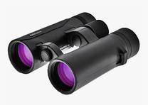 DDoptics 440120003 Fernglas Ultralight 8x42 inklusive Zubehör