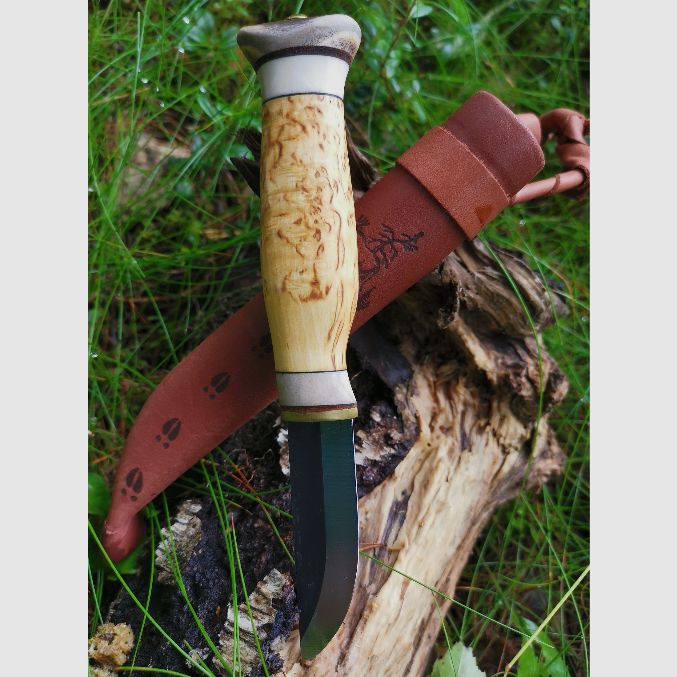 Jagd und Outdoormesser , Griff aus Maserbirke und Rentiergeweih 