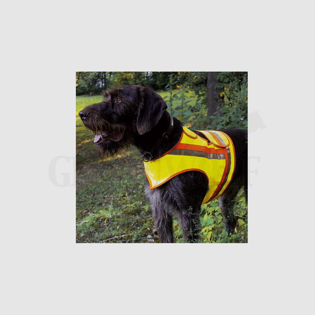 Reflektorweste für Hunde Größe 2 Terrier und kleine Bracken