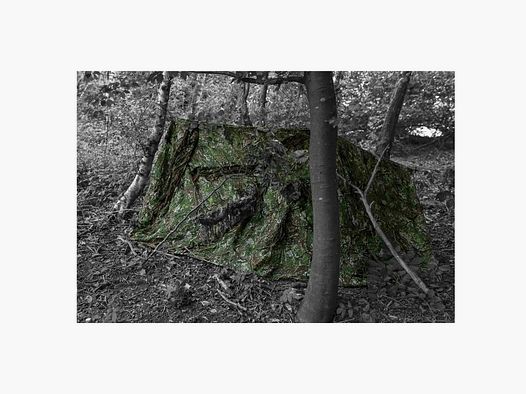 Ghosthood Tarnnetz Recce Net