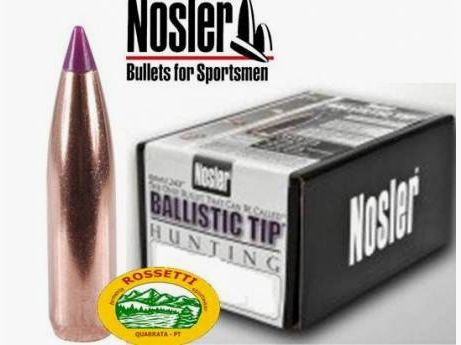 NOSLER 24095 BALLISTIC TIP 6mm .243 95gr 50pz