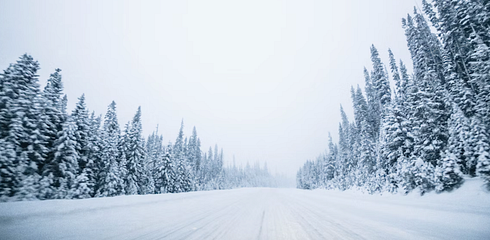 Hunting Equipment for the Cold Season