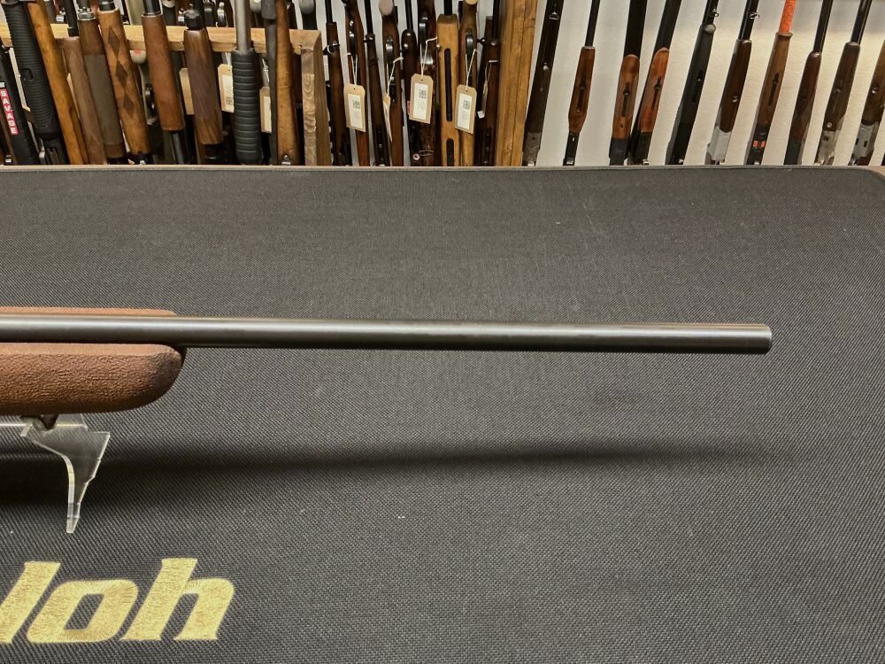 Walther Ohne .22Hornet