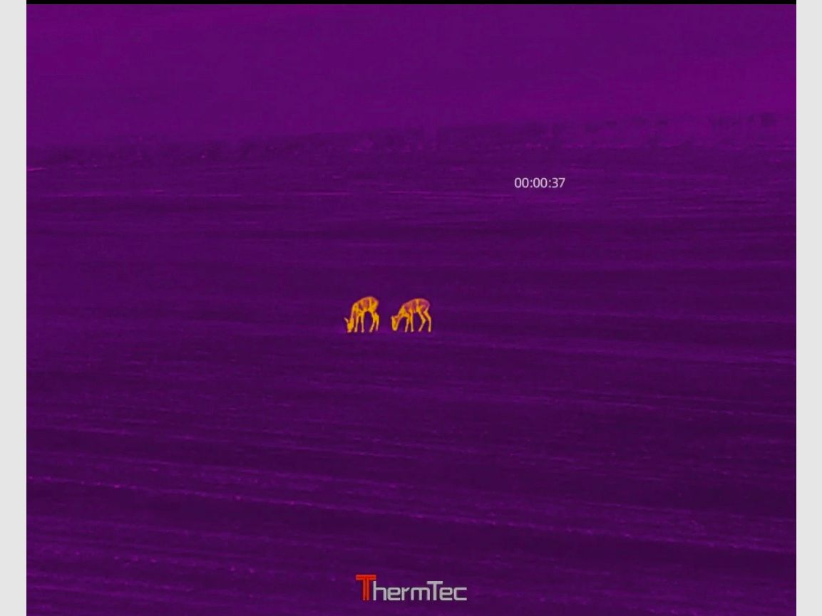 Thermtec Hunt 650 HighEnd thermal imaging clip-on device
