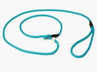 Mystique® Field trial Smycz Moxon 6 mm 150 cm turkusowa