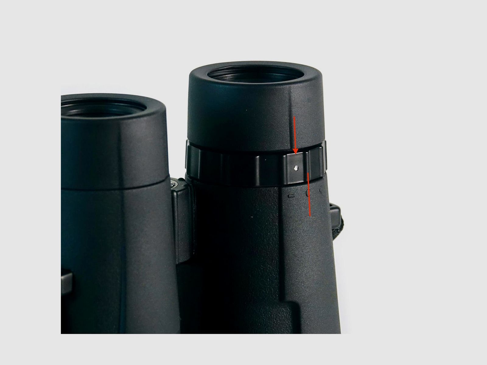 NOBLEX NF 8x56 vector | generalüberholt