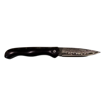 Folding pocket knife, VG10 Damascus steel, image 1 of 6