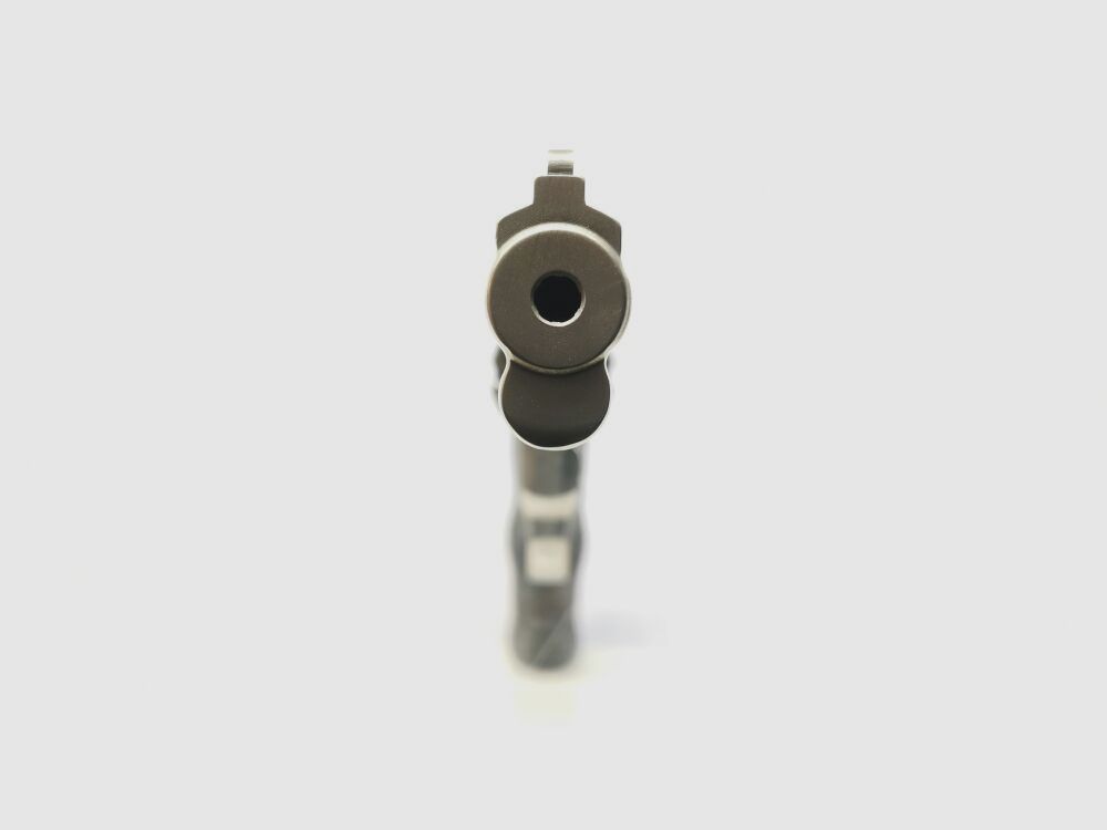 Smith & Wesson 617-1