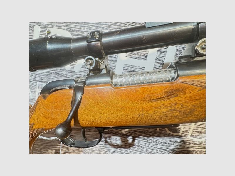 Kriegeskorte & Co Stuttgart; .243Win; ZF6x42