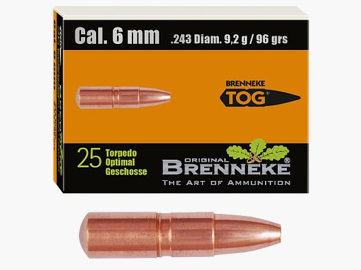 Proiettile Brenneke 6mm (.243) TOG 6,2g / 96gr 25 pezzi