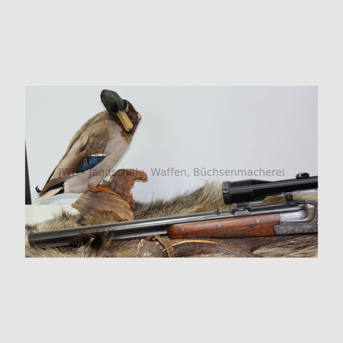 Merkel Bockbüchsflnte Q1 mit Zeiss Diatal 7x65R;12/70