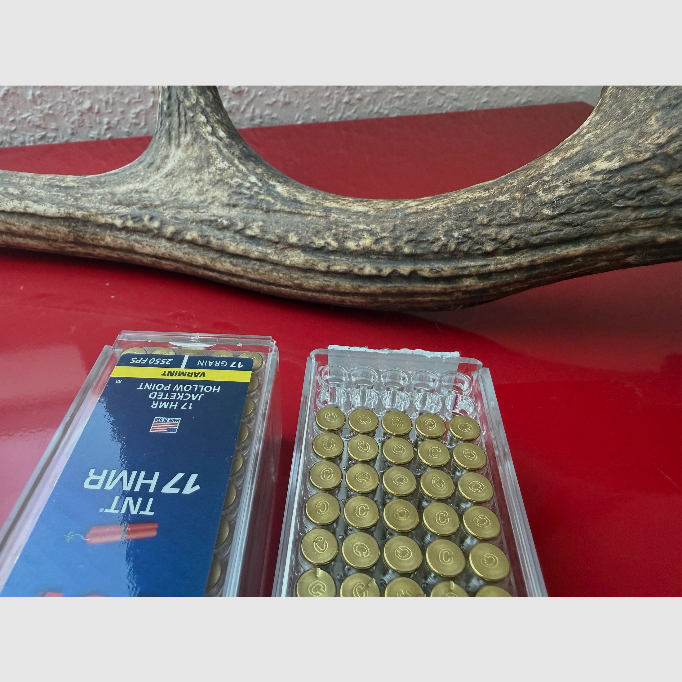 235 Schuss .17 HMR (Hornady & CCI) 17GR VMAX