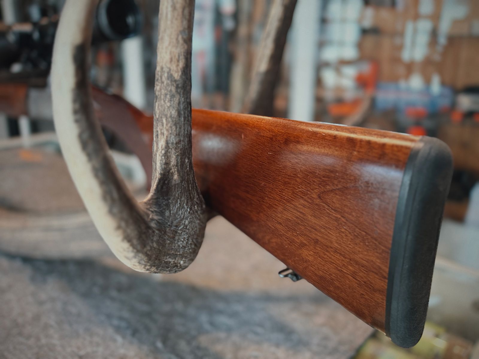 Sabatti BBF – 12/70 y 8x57 IRS – con cañón intercambiable 5,6x52R – Meopta Meostar R1 3-12x56 