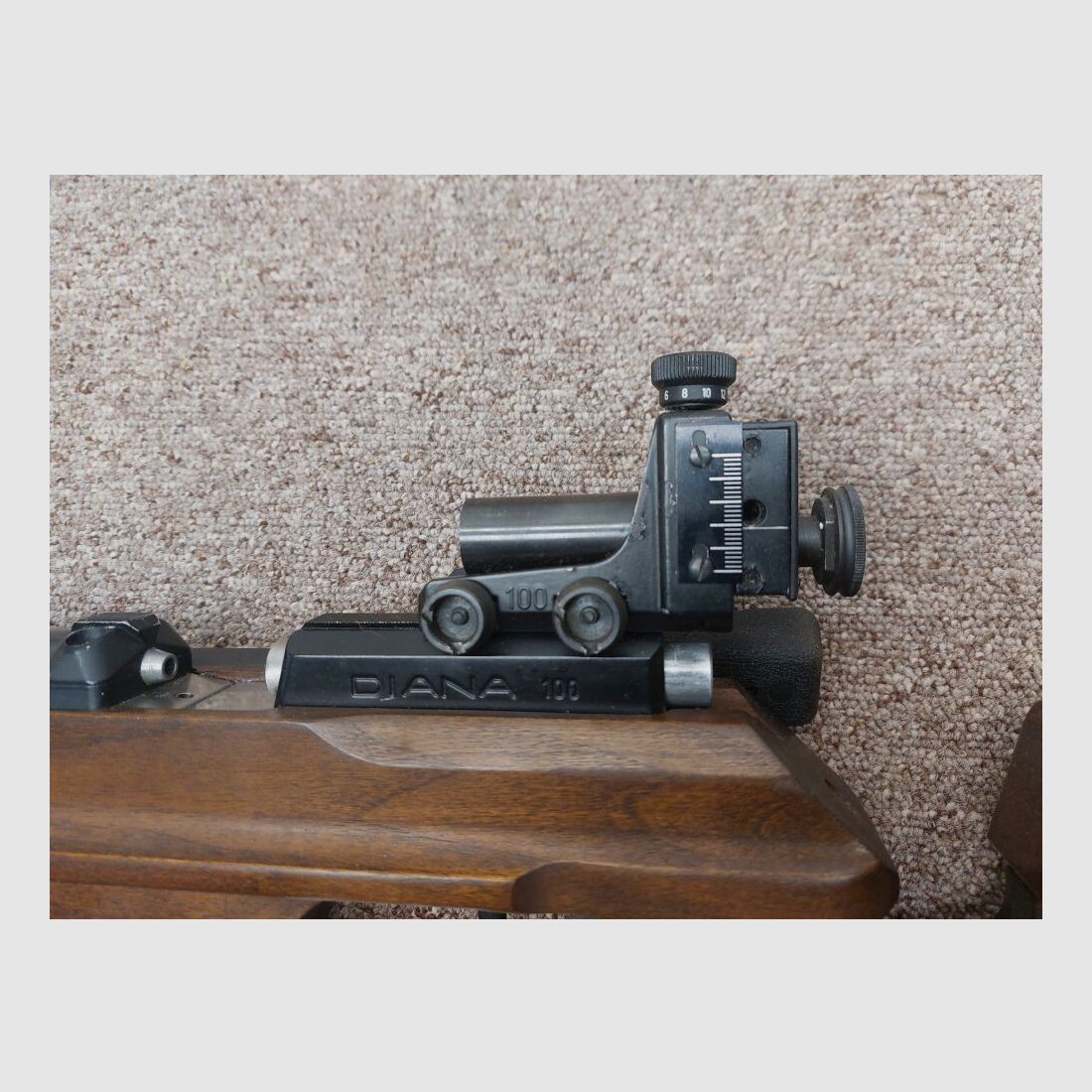 Diana 100