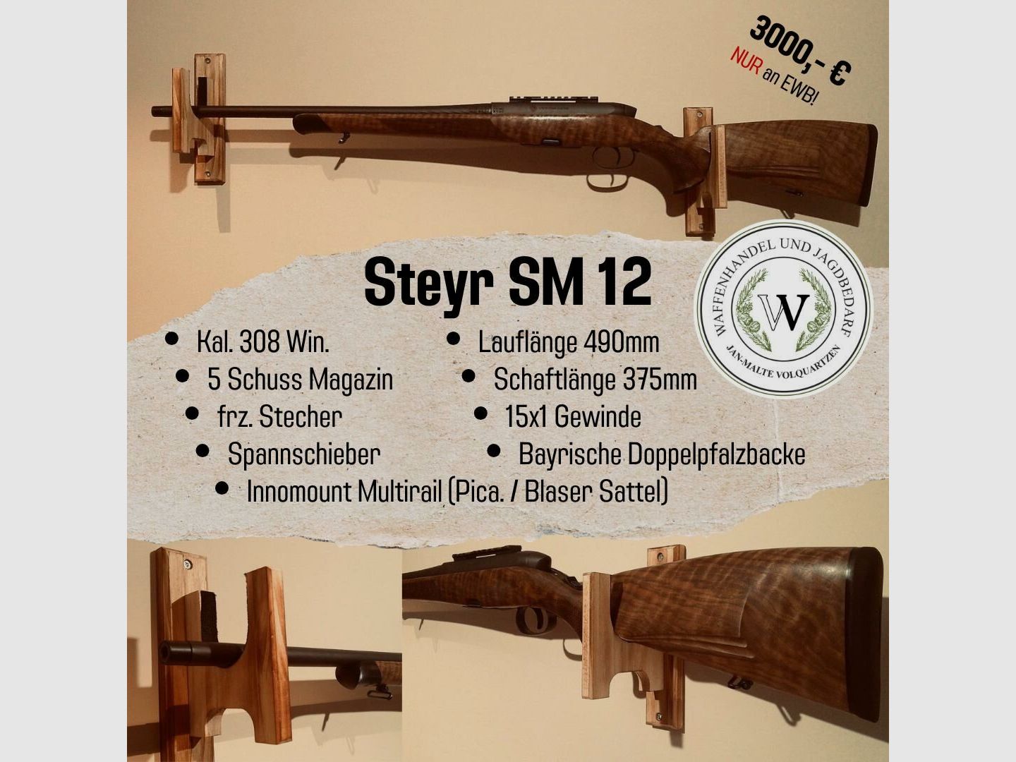 Steyer SM 12 308Win.