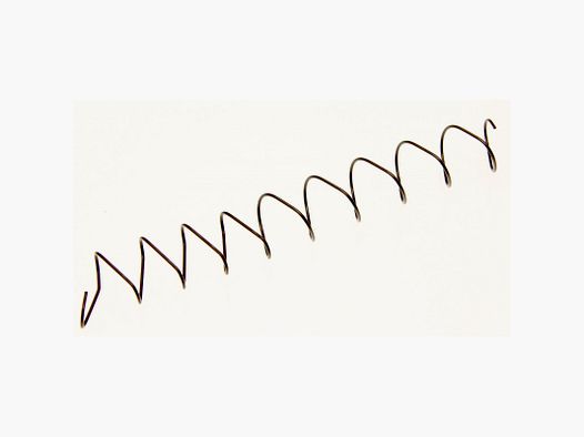Tanfoglio Mag Spring
