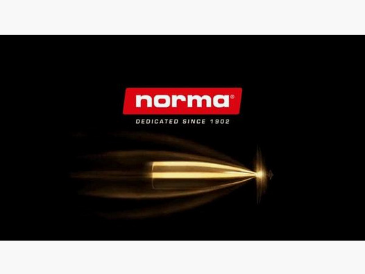 NORMA Kal. 6.. Karabiny 6,5x55SE Oryx TM 20 sztuk 10,1g/156gr