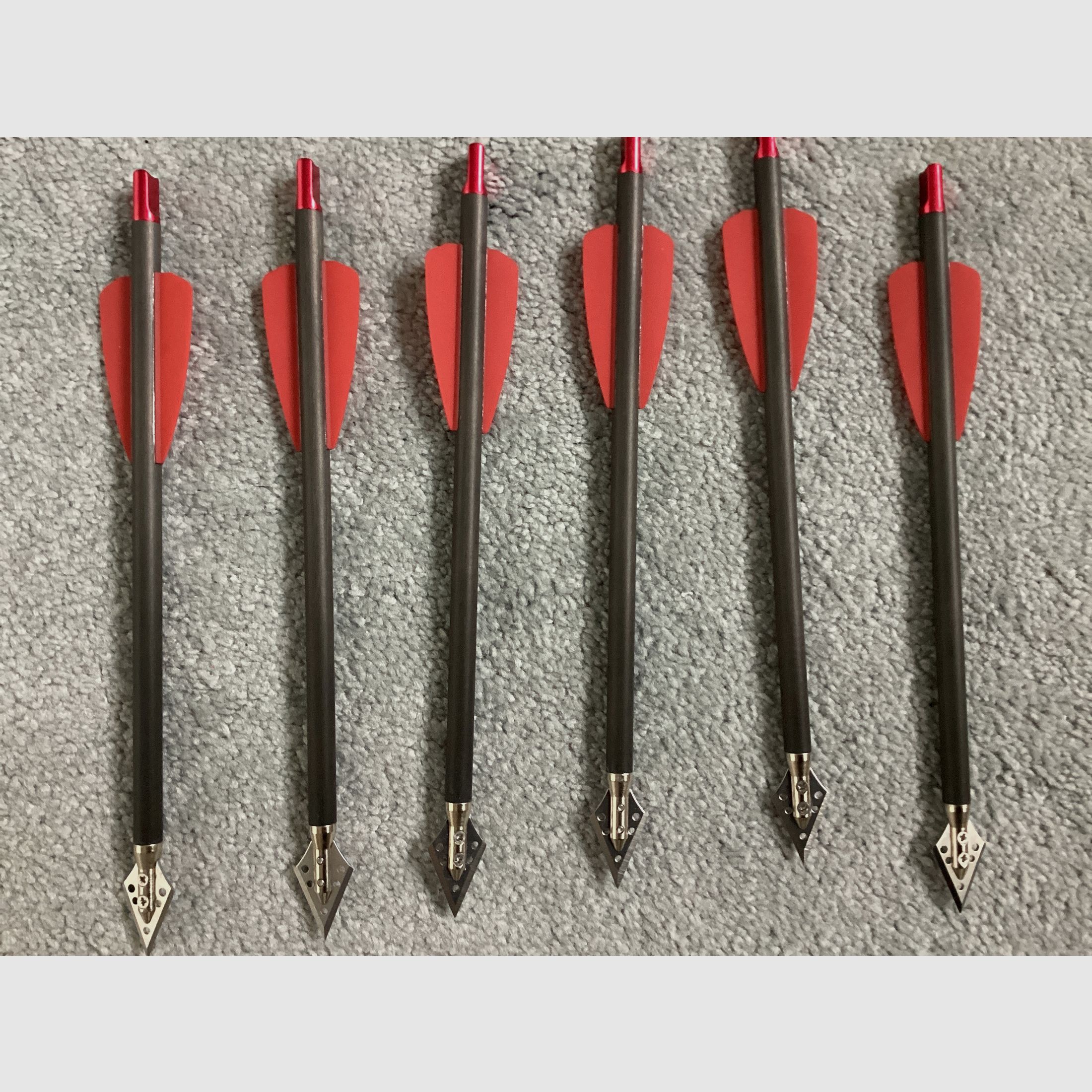 EK Archery Adder Carbonbolzen 7,5 Zoll