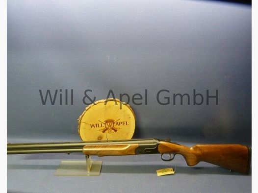 Akkar Churchill Lady Black