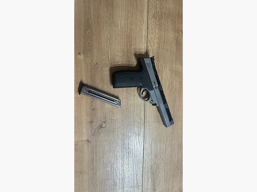 Smith & Wesson S22
