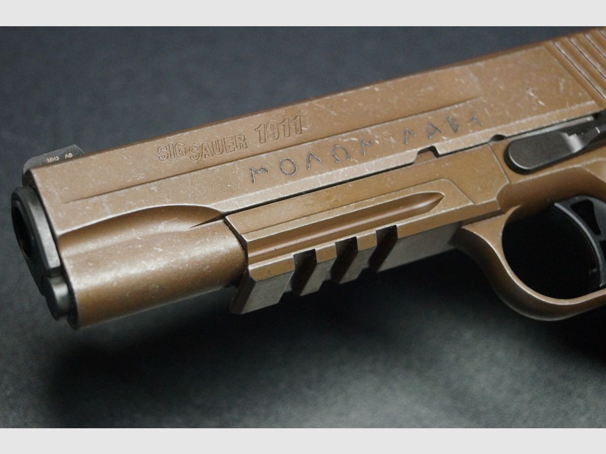 Sig Sauer 1911 Spartan 2, Bild 8 von 10