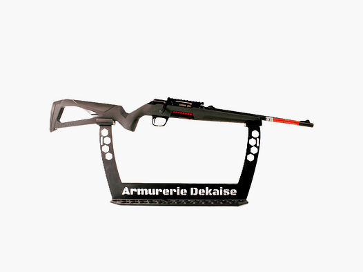 winchester Xpert compo 22lr