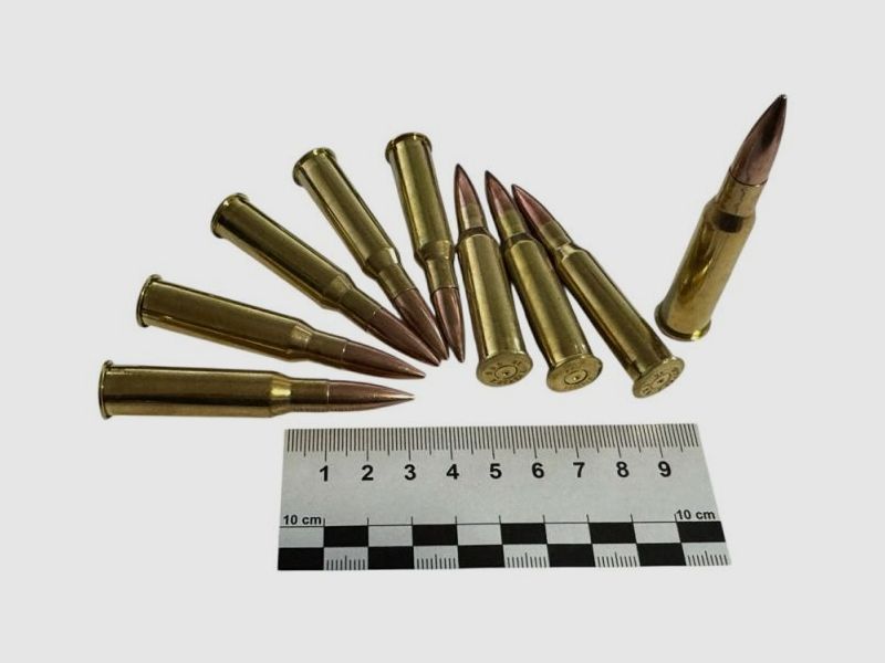 Decommissioning 7.62×54R, 10 pieces in original brass case, full metal jacket bullet