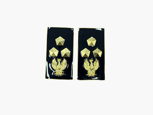 RANK – STATE POLICE – PAIR OF METAL RANKS INSPECTOR CHIEF
