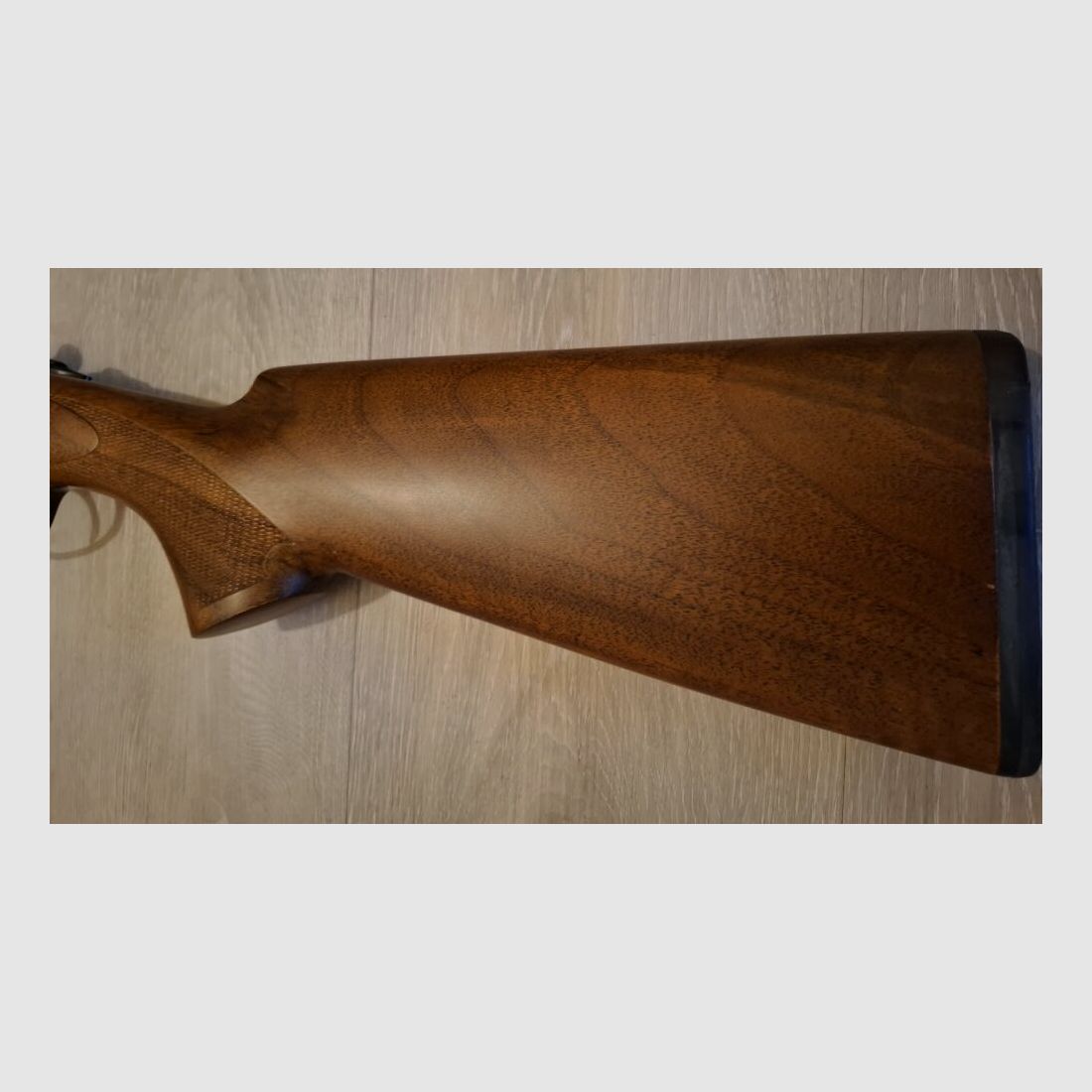 Frankonia Forest Favorit "Jagd"