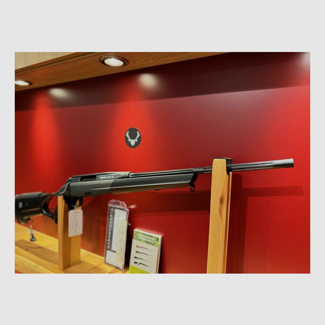 Steyr Arms Steyr Gams CLII 48,5cmLL, Direktabzug