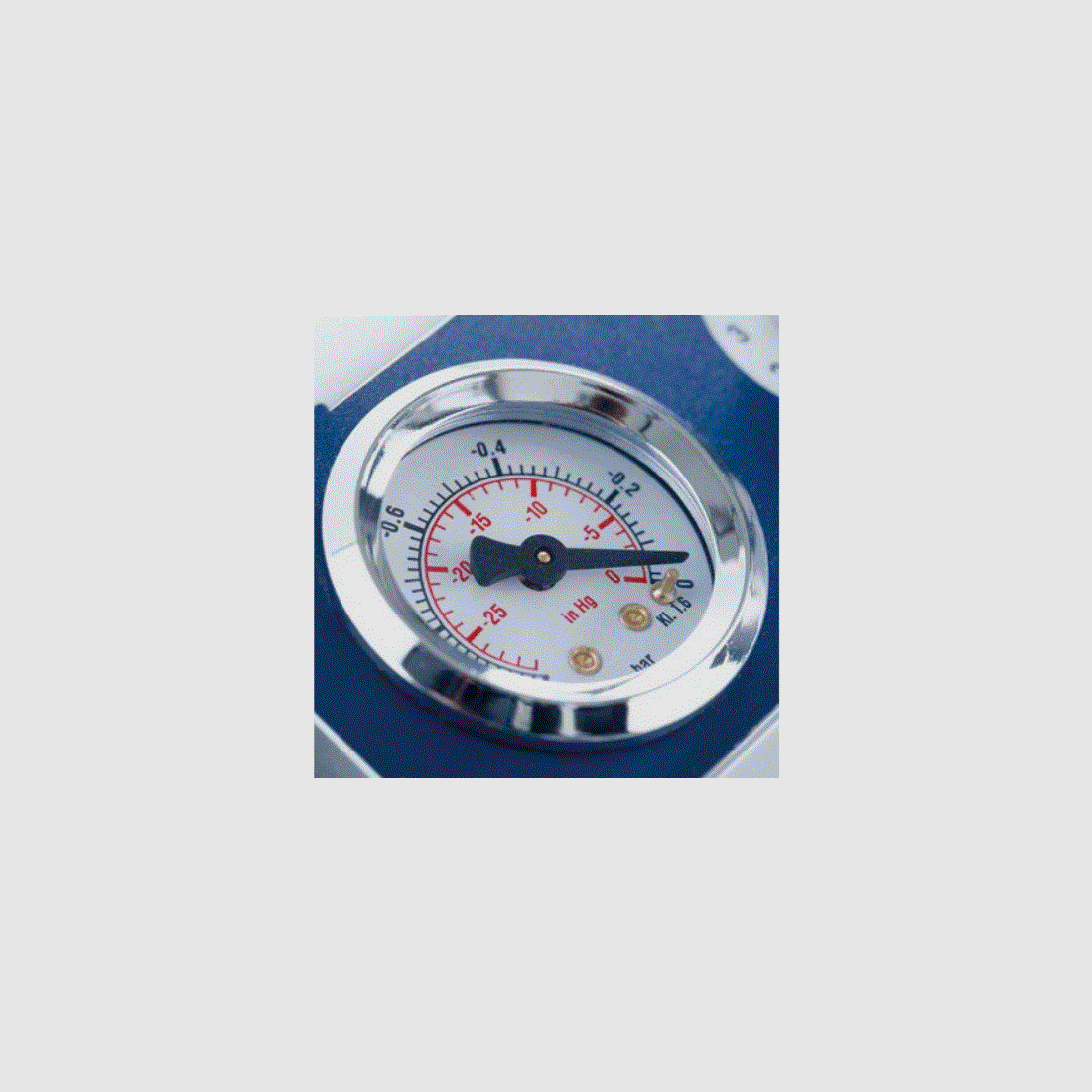 Set Vakuumiergerät V.300 Premium mit Vakuumbeutel